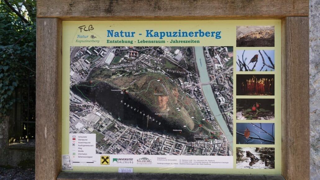 Kapuzinerberg Gründe