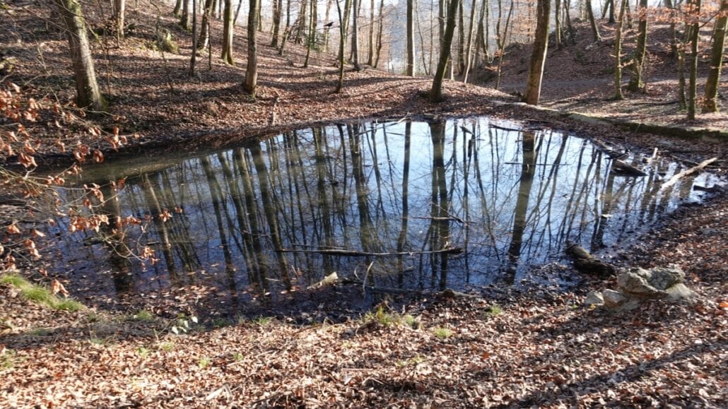 Kapuzinerberg Wasserquellen Teiche